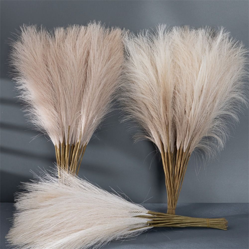 10PCS/Set Dekorasi Rumah Rumpu - Pampas Grass Decor ulasan dan harga