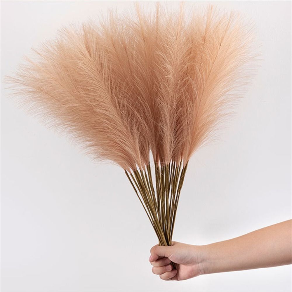 10PCS/Set Dekorasi Rumah Rumpu - Pampas Grass Decor ulasan dan harga